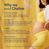 image:imageRitual Natal Choline and Prenatal Probiotics  Support Microbiome Digestive and Vaginal Health  Babys Cognitive Function and Immune Health  Vegan  30 Servings